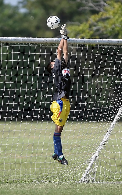 策的調整 策的調整